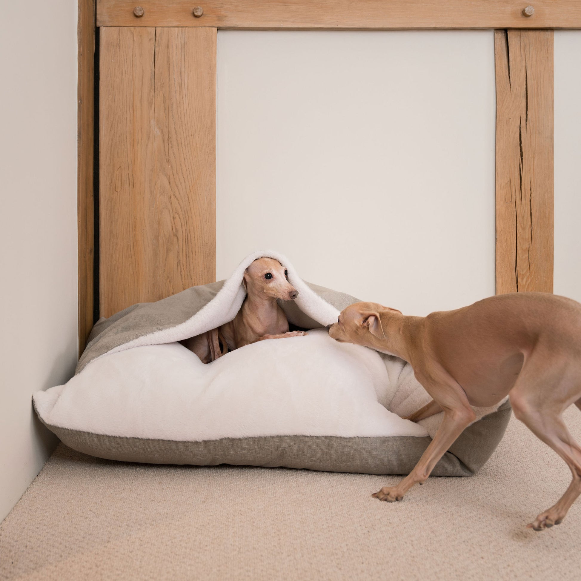 Luxury Savanna Sleepy Burrow, The Perfect bed For a Pet to Burrow. Available To Personalise In Stunning Savanna Stone, Here at Lords & Labradors