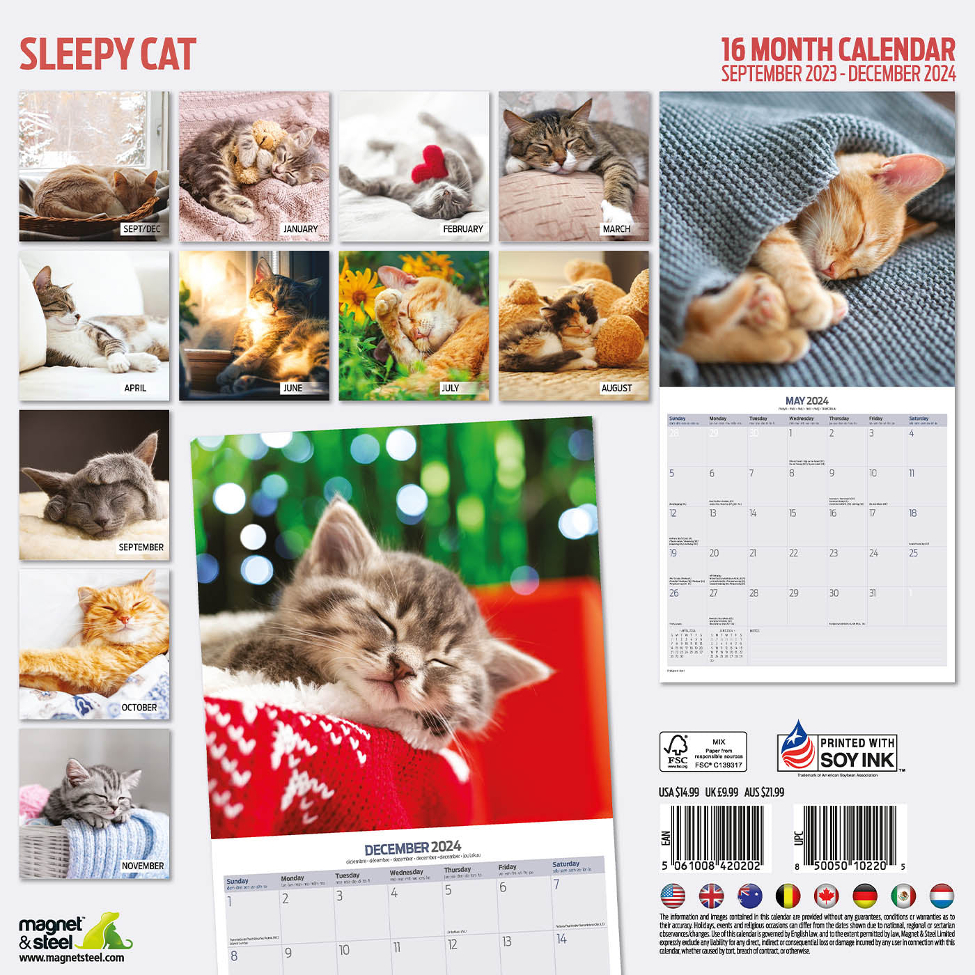 Sleepy Cat Calendar 2024