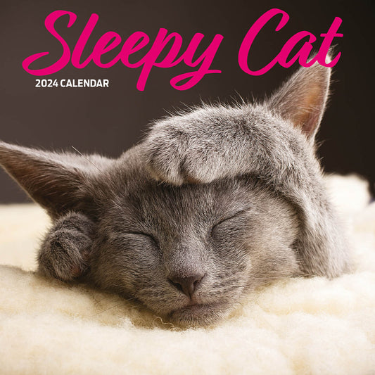 Sleepy Cat Calendar 2024