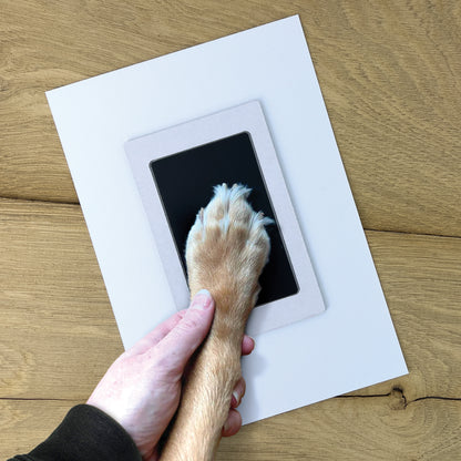 Oh So Precious Paw Print Non-Toxic Ink Pad For Small Paws
