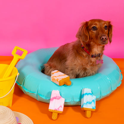Cooling Rubber Ice Lolly Dog Toy Smart Choice Dog Toys Lords