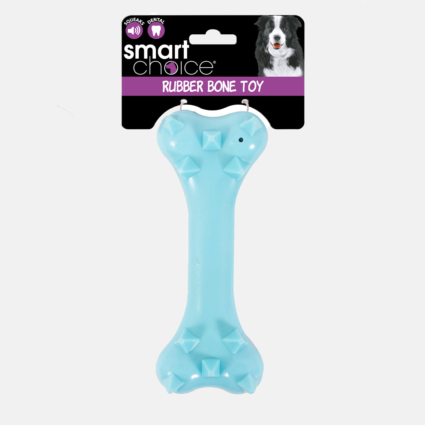 Spiky Rubber Bone Dog Toy