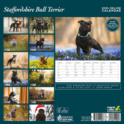 Staffordshire Bull Terrier Deluxe Calendar 2024