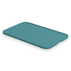 Pet Feeding Tray