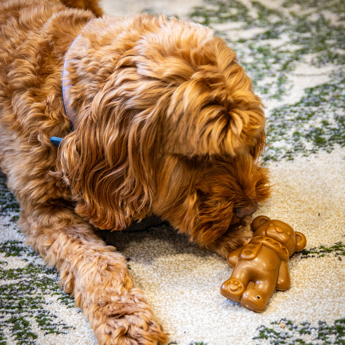 Teddy Bear Chew Dog Treat 50g