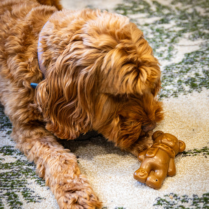 Teddy Bear Chew Dog Treat 50g