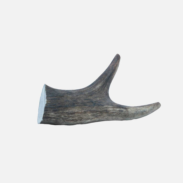 Deer Antler | The Wild Antler Co | Lords & Labradors