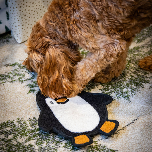 Tufflove Penguin Flattie Dog Toy