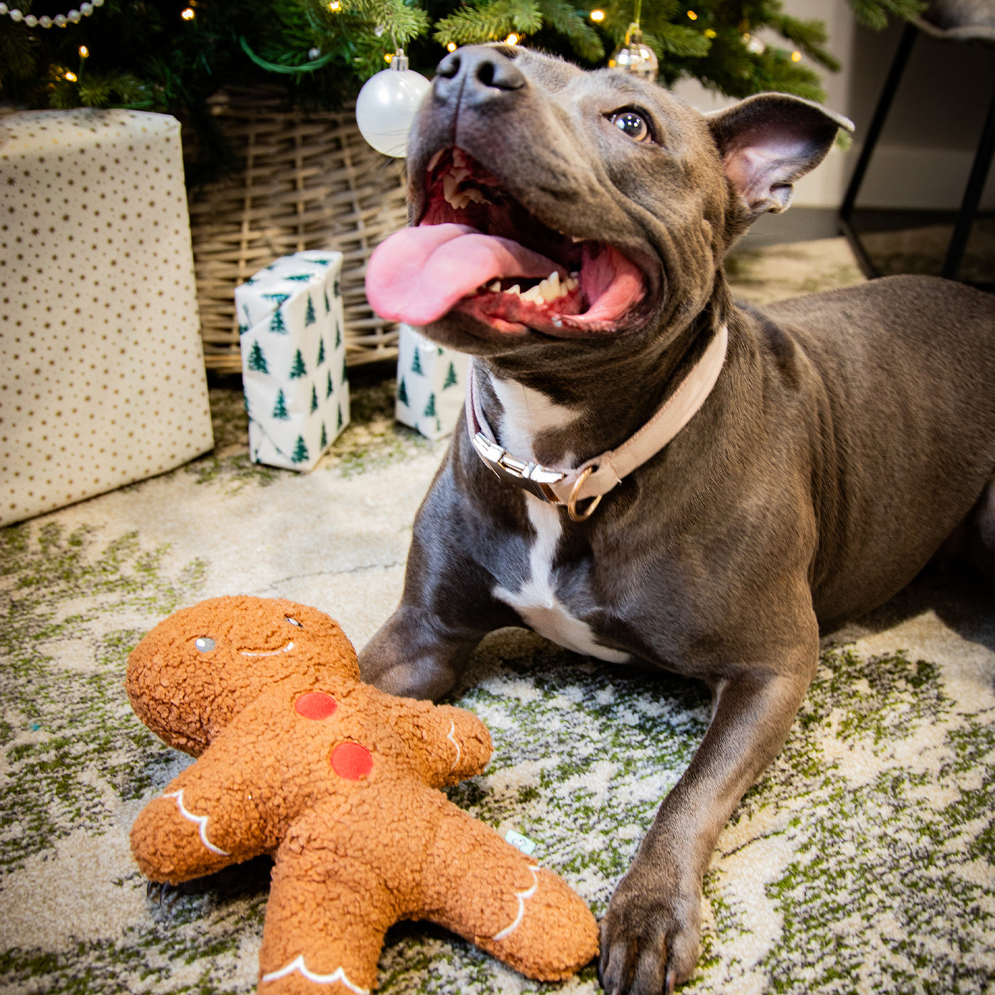 Tufflove Gingerbread Dog Toy
