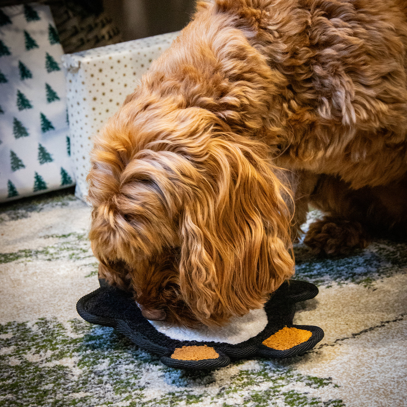 Tufflove Penguin Flattie Dog Toy