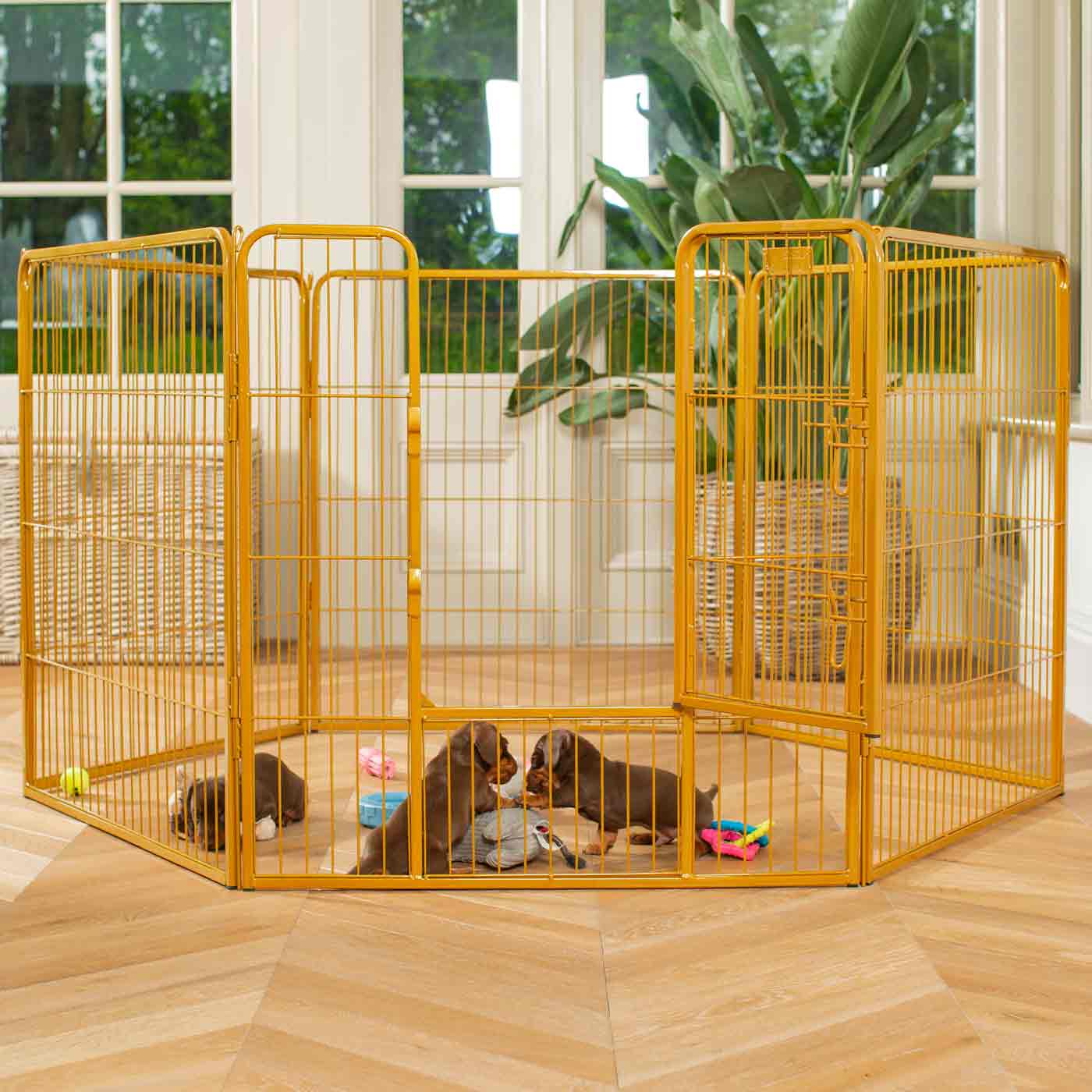 Heavy Duty Puppy Pens Uk Heavy Duty Playpen 6-Sided 60cm Tall By