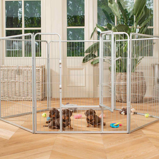 Ensure The Ultimate Puppy Safety with Our Heavy Duty 80cm High Silver Metal Play Pen, Crafted to Take Your Pet Right Through Maturity! Powder Coated to Be Extra Hardwearing! 6 panels that are 80cm high and attachments to connect to any crate. The modular system allows you to change the puppy pen shape with multiple layouts! Available To Now at Lords & Labradors    
