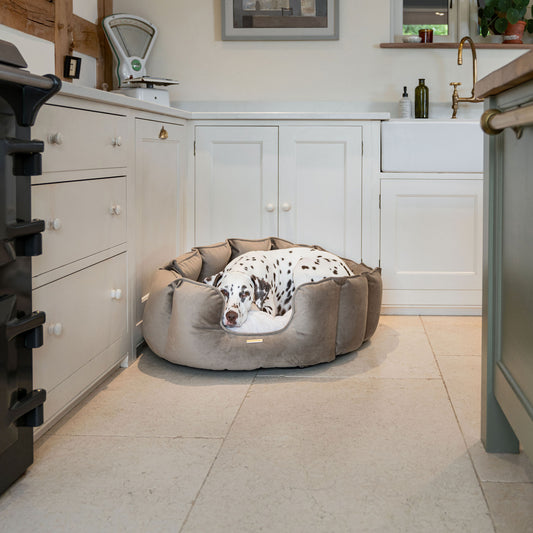 High Wall Bed For Dogs in Clay Velvet By Lords & Labradors