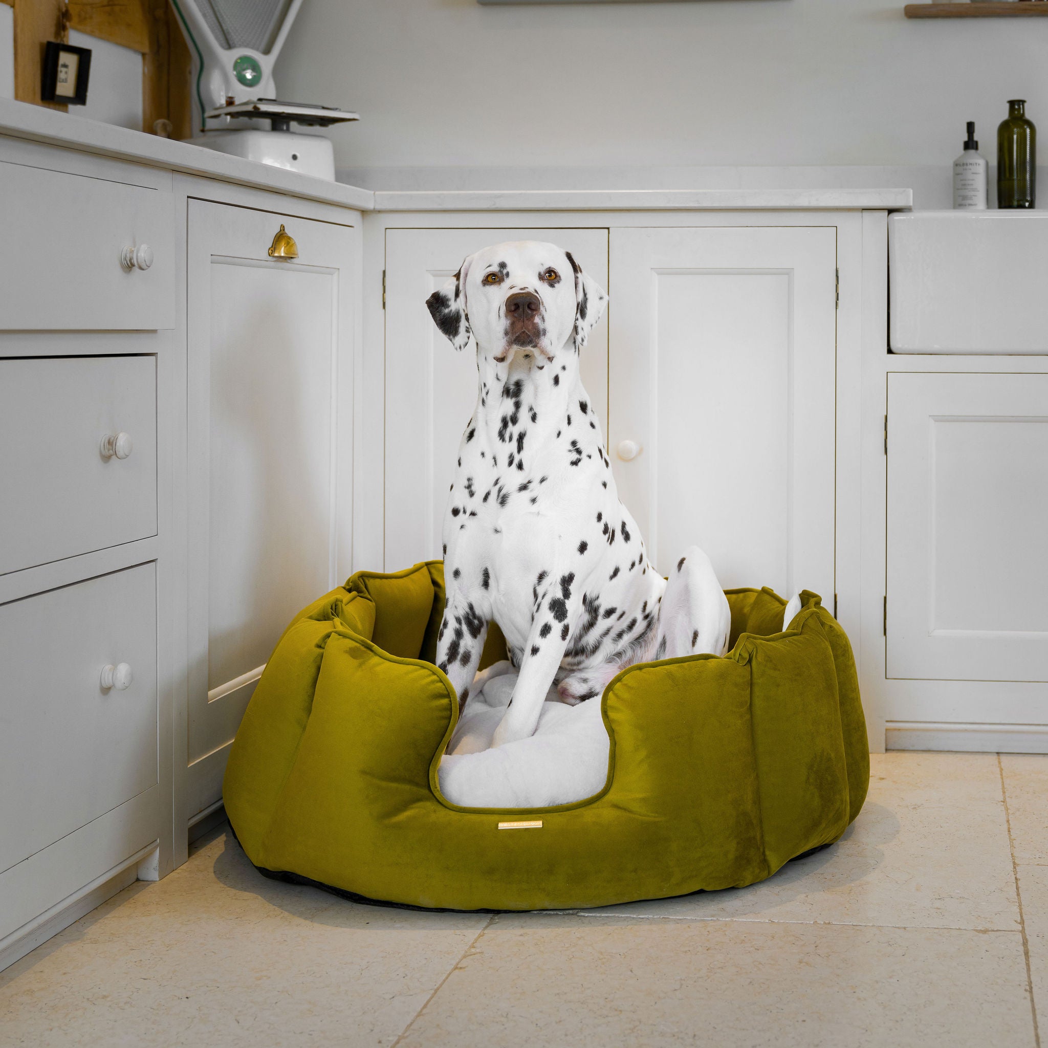 A dog bed shown from the front.