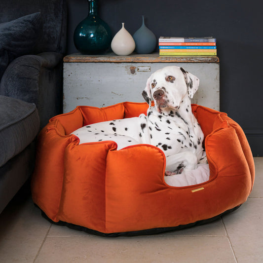 High Wall Bed For Dogs in Pumpkin Velvet By Lords & Labradors