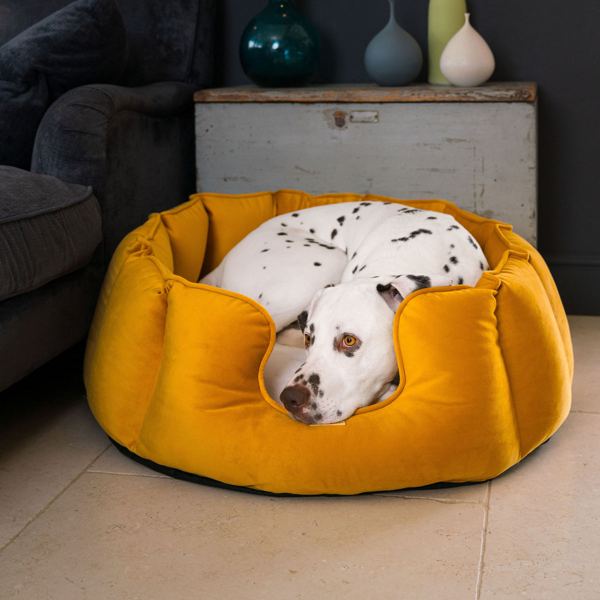 Curated visual reference: High Wall Dog Bed In Velvet Saffron Beds For Dogs Photo Inspiration