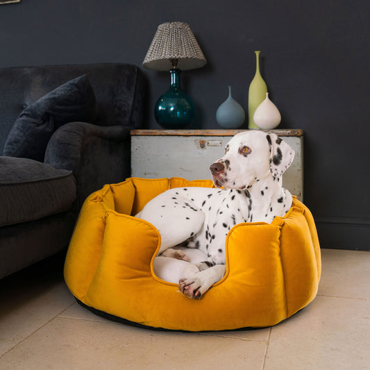 High Wall Bed For Dogs in Saffron Velvet By Lords & Labradors