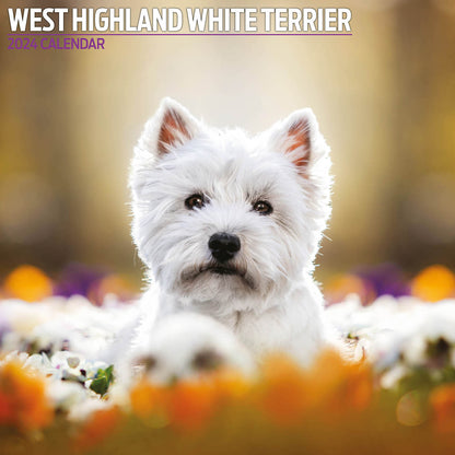 West Highland White Traditional Calendar 2024