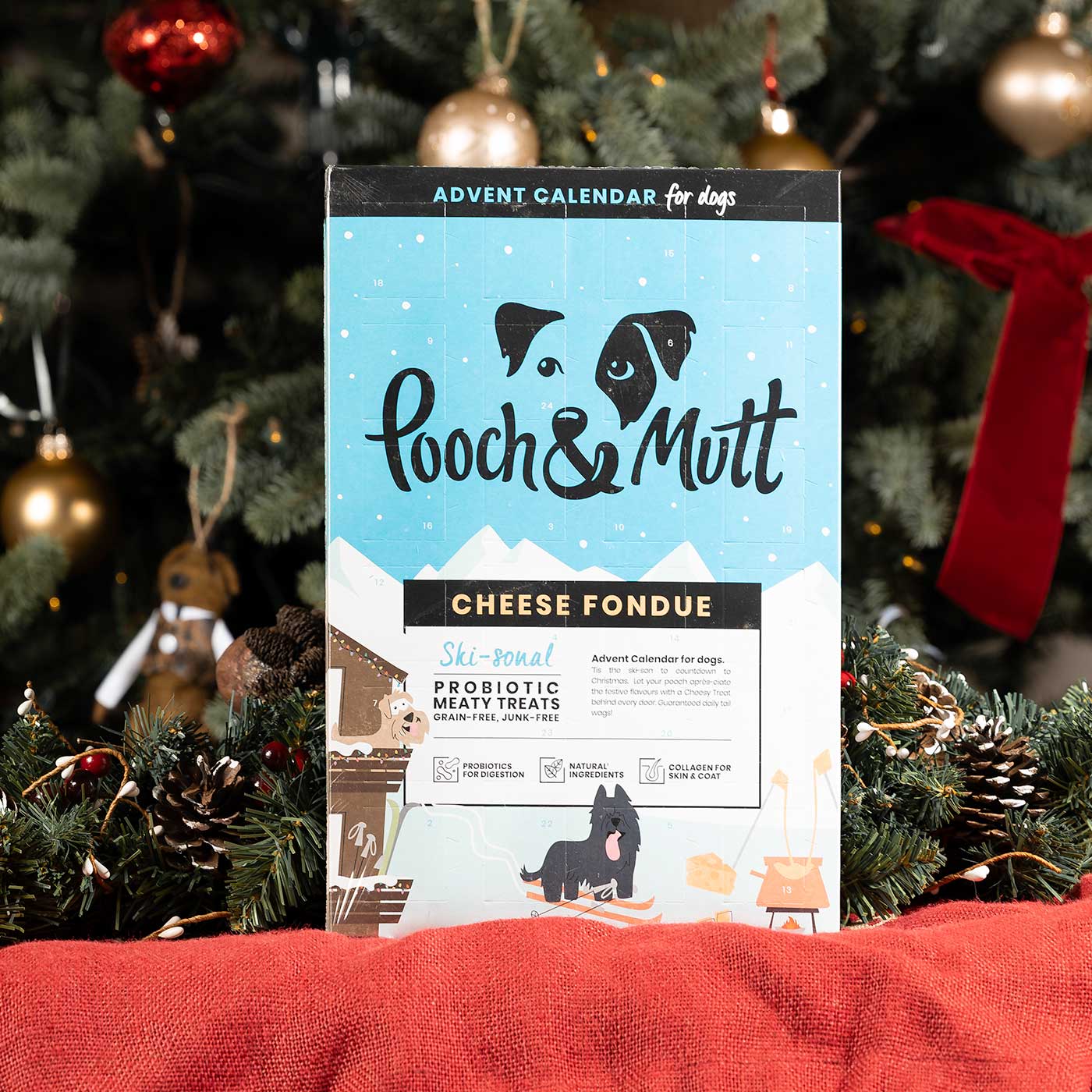 Pooch & Mutt Dog Advent Calendar, The Perfect Christmas Countdown For Dogs, Available Now at Lords & Labradors