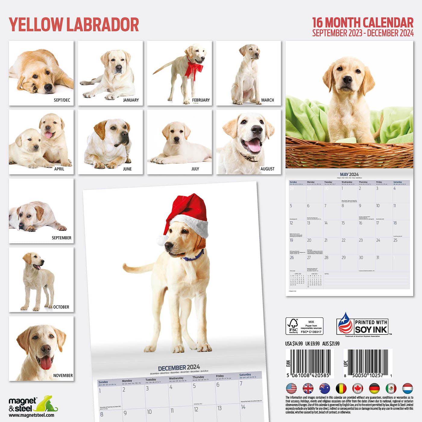 Yellow Labrador Modern Calendar 2024