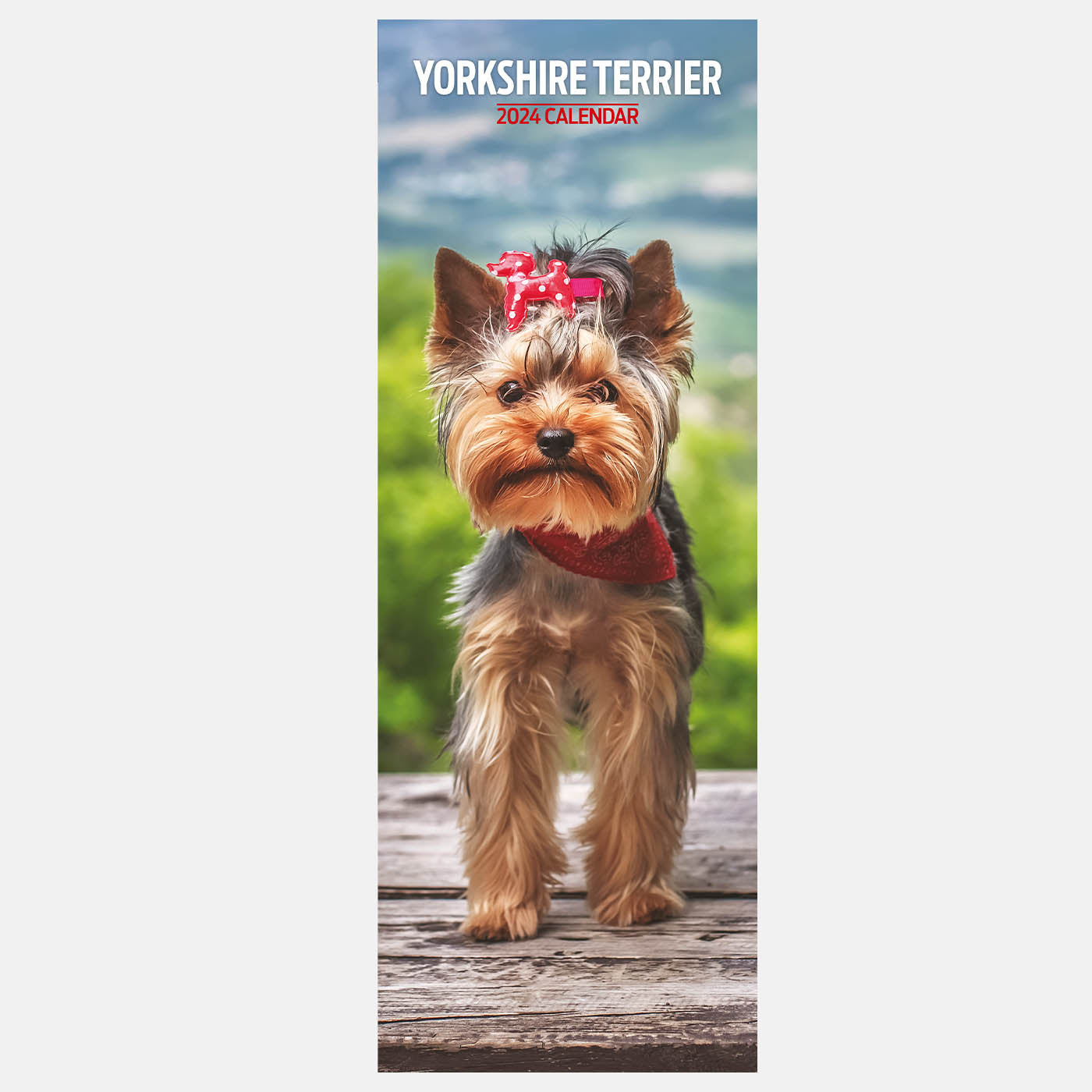 Yorkshire Terrier Slim Calendar 2024