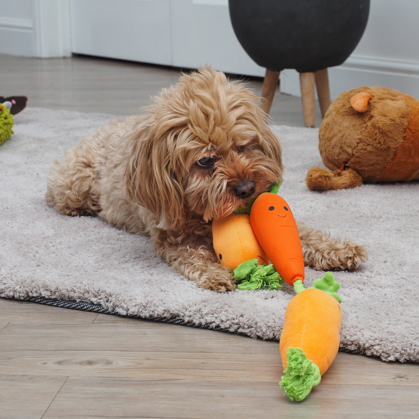 Zoon Tugga Carrots Dog Toy