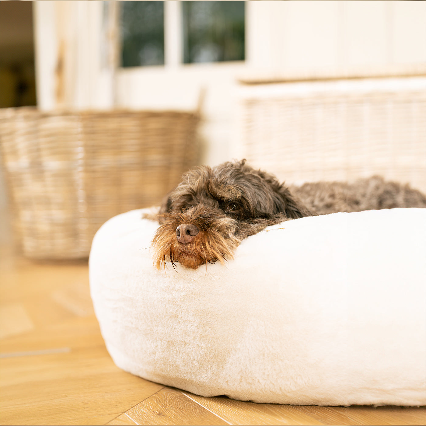Luxury Donut Anti-Anxiety Dog Bed, In Stunning Cream Faux Fur, Perfect For Your Pets Nap Time! Available Now at Lords & Labradors