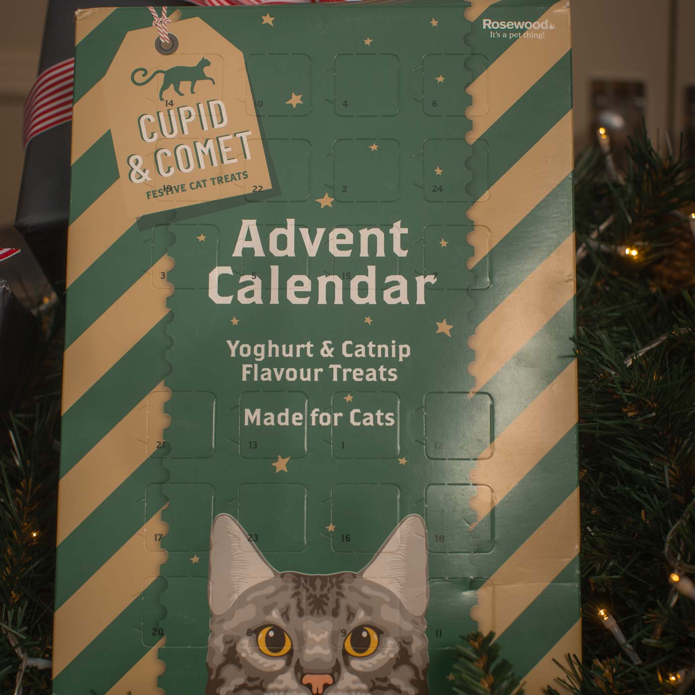 Rosewood Yoghurt & Catnip Advent Calendar for Cats