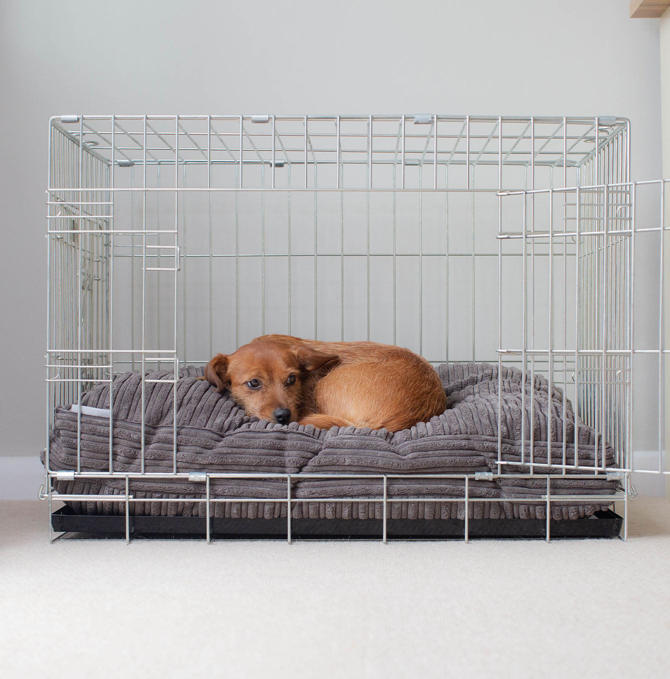 Sleepeze Dog Cushion in Dark Grey Essentials Plush by Lords & Labradors
