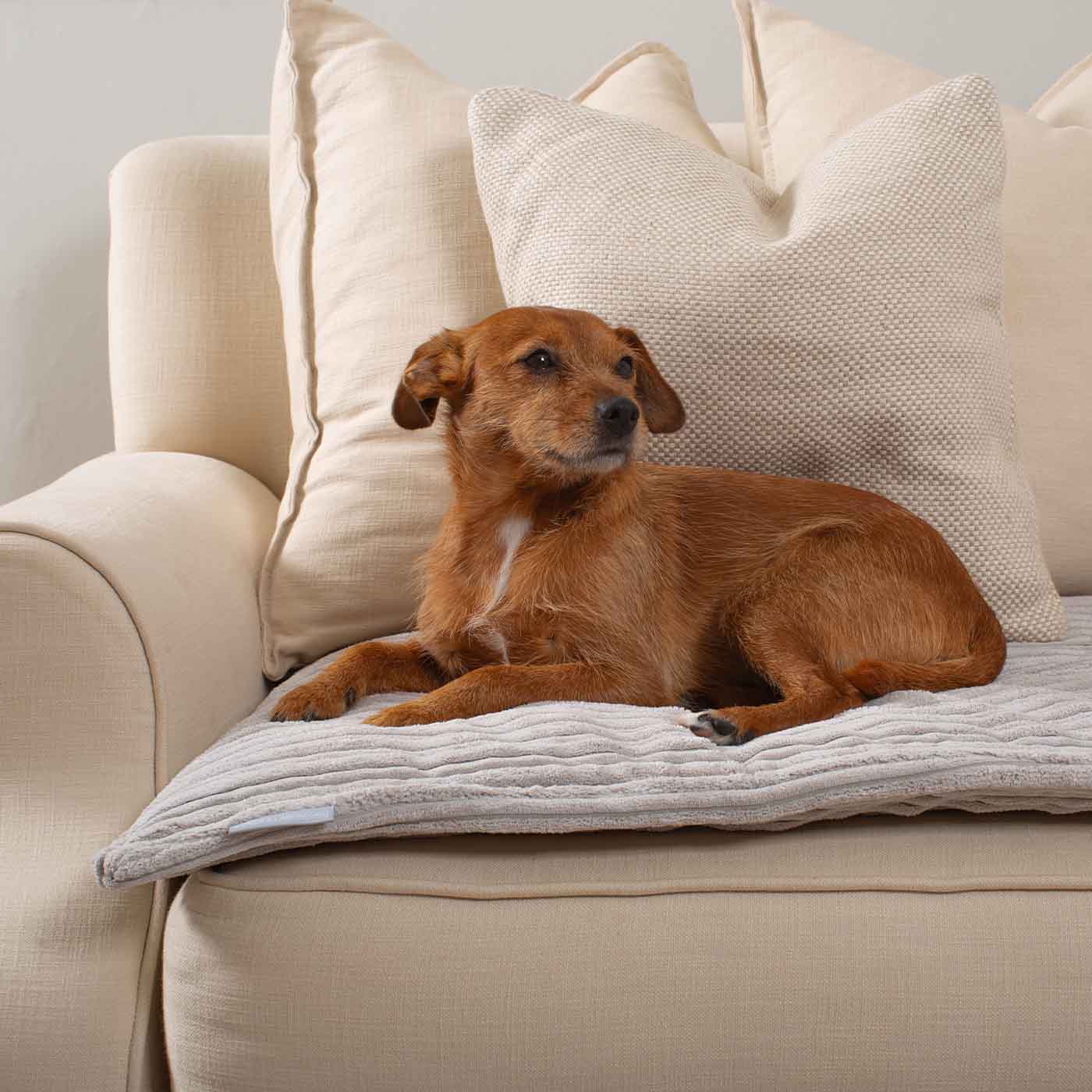 Sofa Topper in Light Grey Essentials Plush by Lords & Labradors