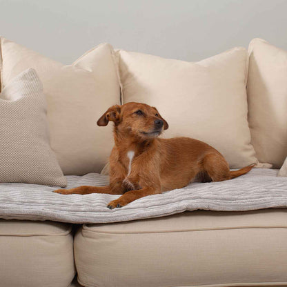 Lords & Labradors Light Grey Essentials Plush Sofa Topper