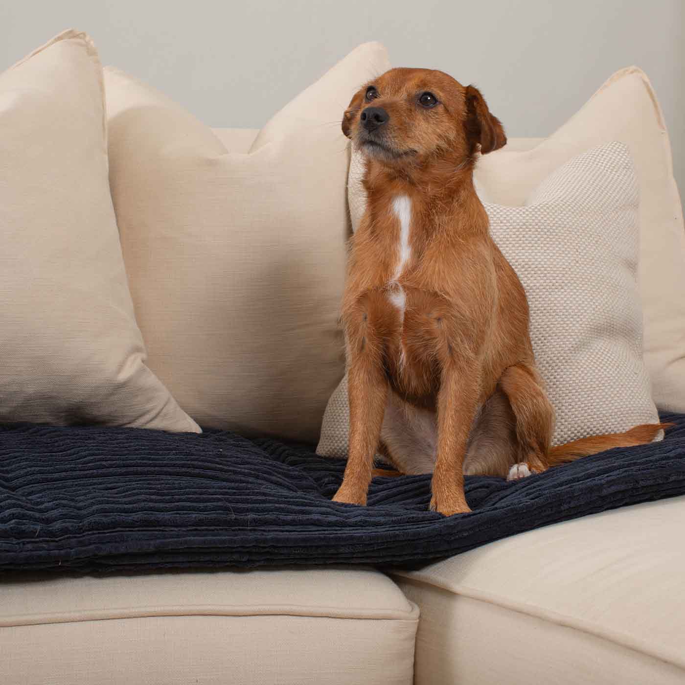 Sofa Topper in Navy Essentials Plush by Lords & Labradors