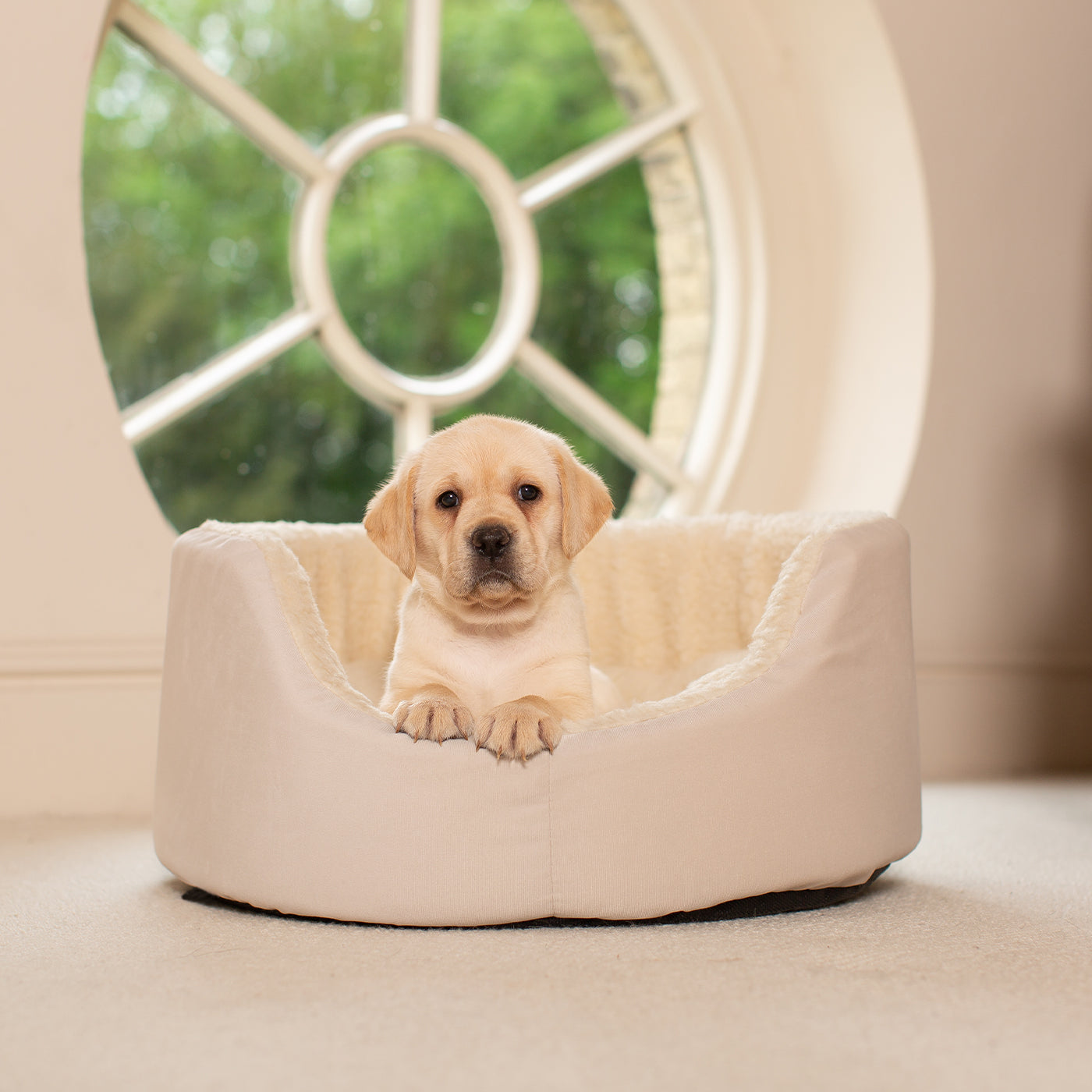 Cream Grow With Me Puppy Bed By Lords & Labradors