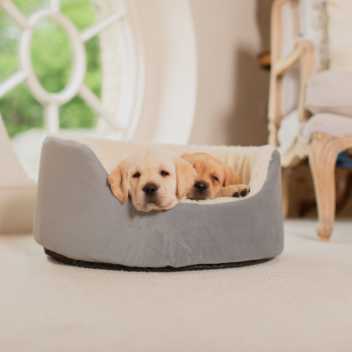 Grey Grow With Me Puppy Bed By Lords & Labradors
