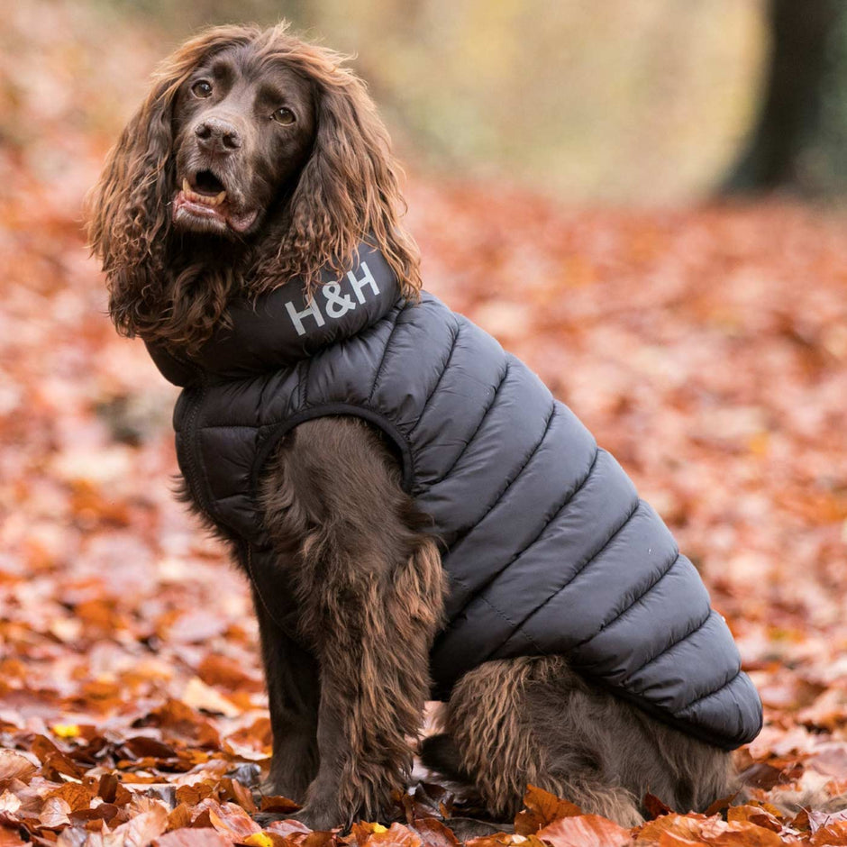 Puffer Jacket Hugo & Hudson Dog Clothing Lords and Labradors