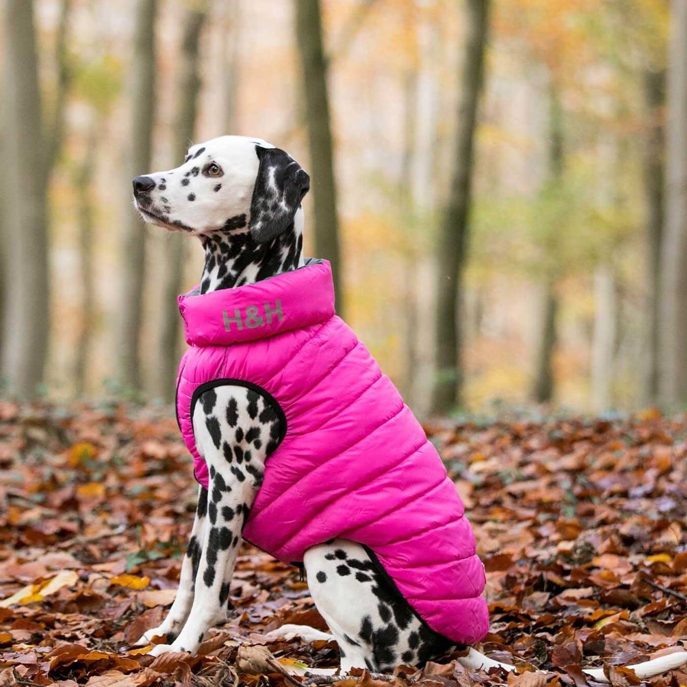 Pink dog shop puffer jacket