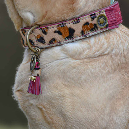 Lou Lou Dog Collar by DWAM