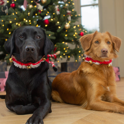 FuzzYard Jingle Bells Collar