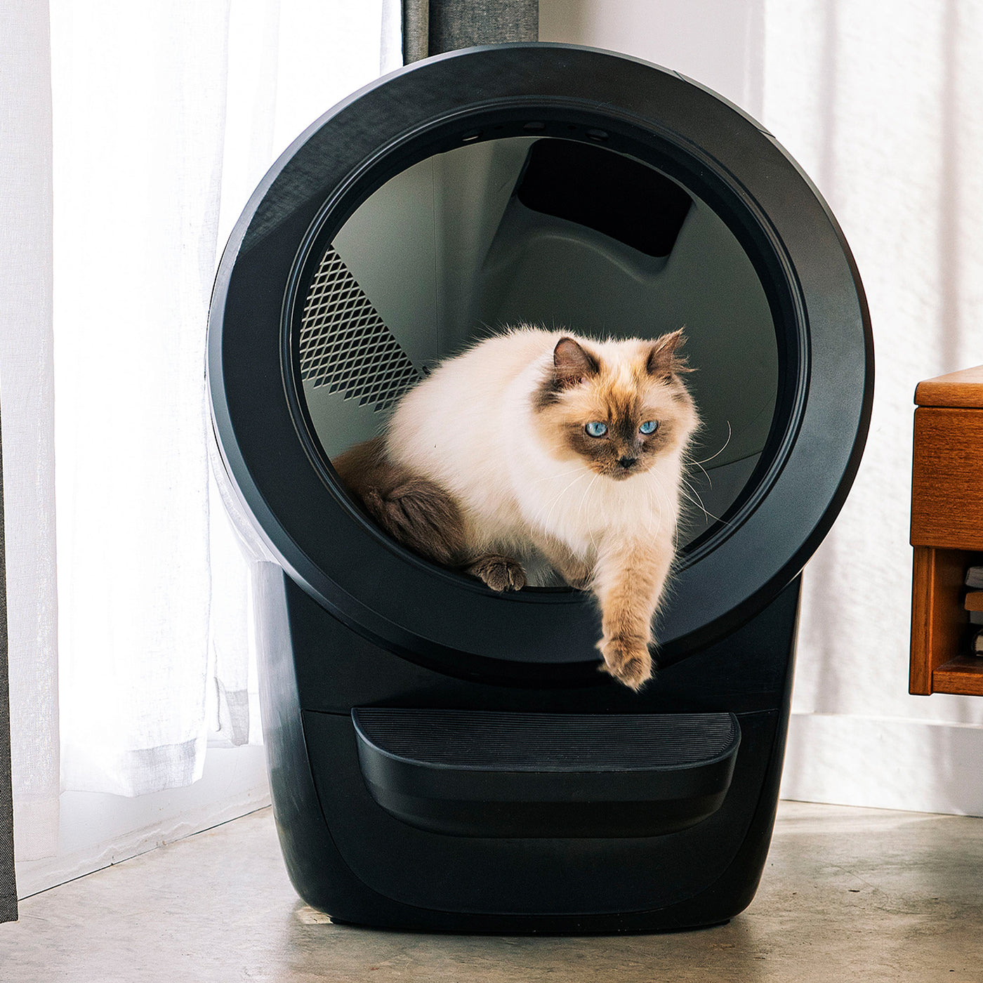 Litter-Robot Automatic, Self-Cleaning Litter Box Lords