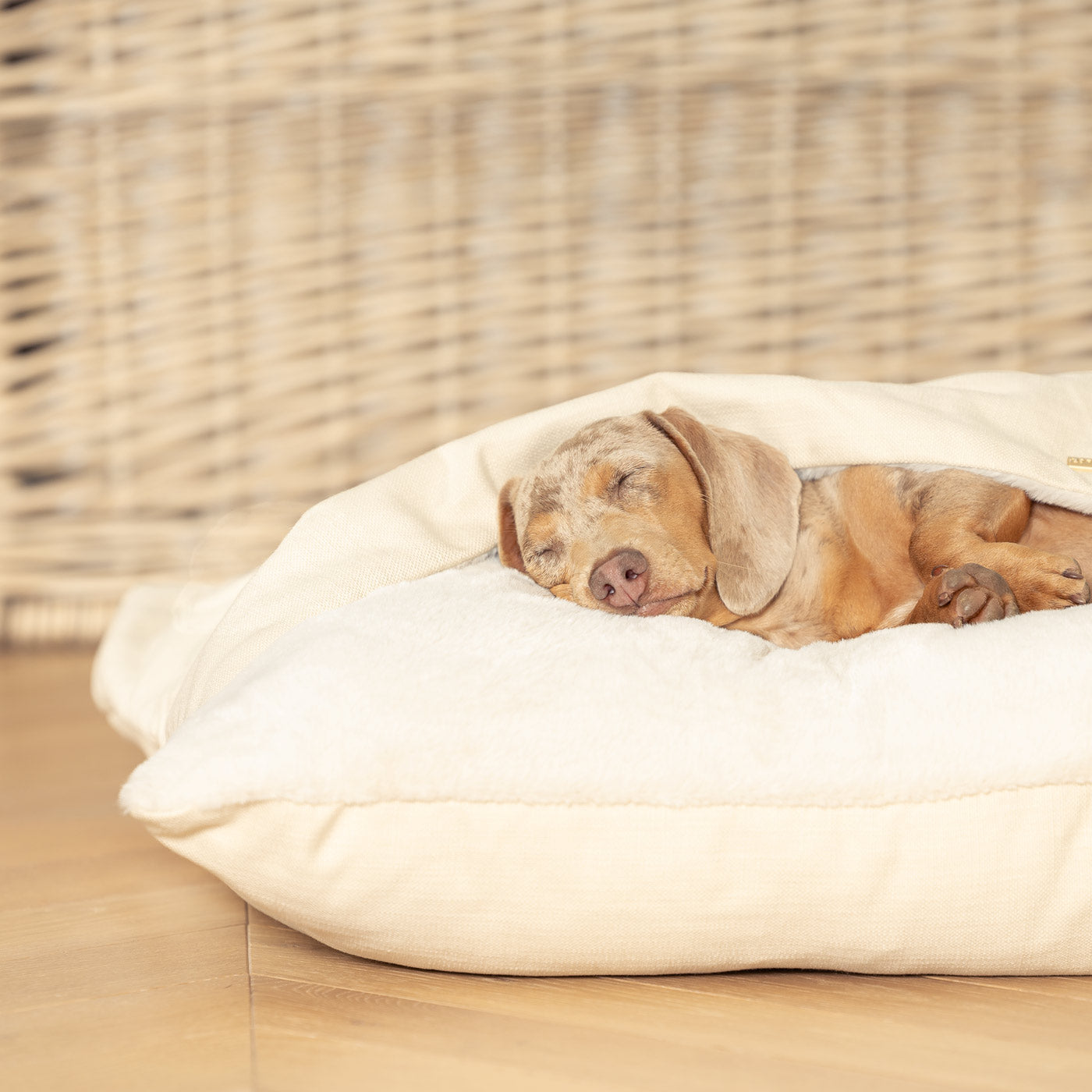 Discover The Perfect Burrow For Your Pet, Our Stunning Sleepy Burrow Dog Beds In Savanna Bone Is The Perfect Bed Choice For Your Pet, Available Now at Lords & Labradors 
