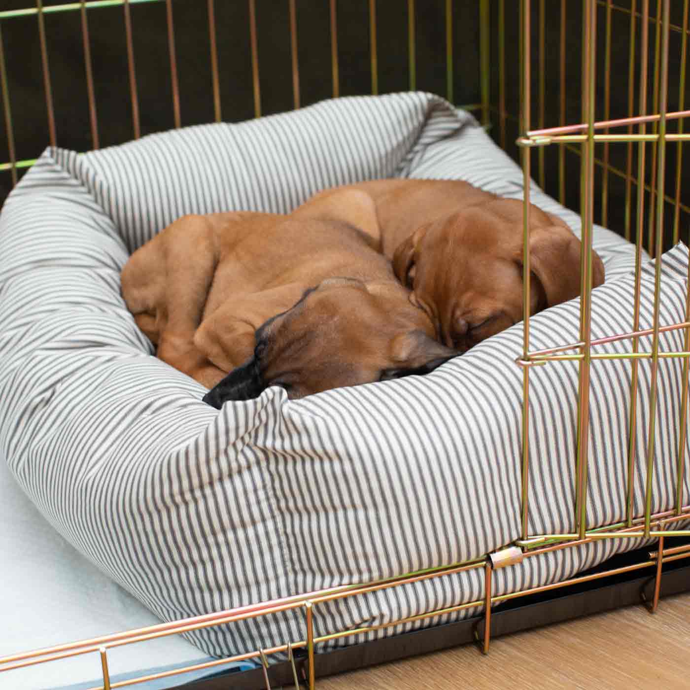 Discover Our Heavy-Duty Dog Crate With Regency Stripe Cosy & Calming Puppy Crate Bed Set! The Perfect Crate Bed For Pet Burrow. Available To Personalise Here at Lords & Labradors