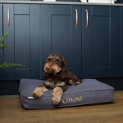 Dog Cushion in Oxford Herringbone Tweed by Lords & Labradors
