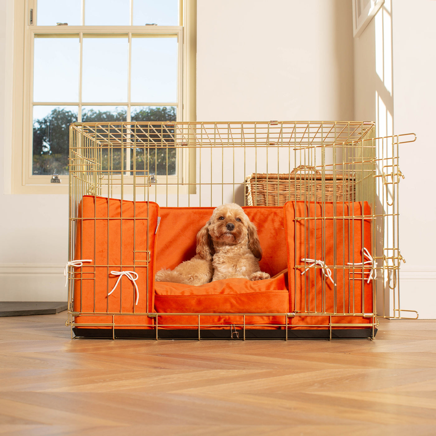 Dog Crate with Cushion & Bumper in Pumpkin Velvet by Lords & Labradors