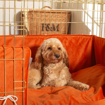 Dog Crate with Cushion & Bumper in Pumpkin Velvet by Lords & Labradors