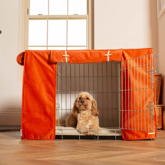 Dog Crate with Crate Cover in Pumpkin Velvet by Lords & Labradors