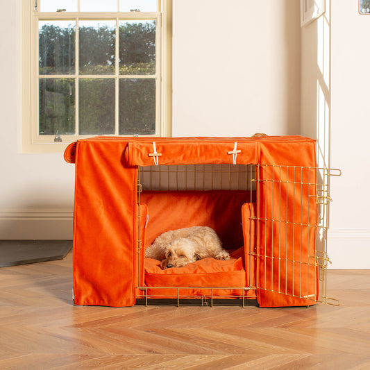 Dog Crate Set In Pumpkin Velvet by Lords & Labradors