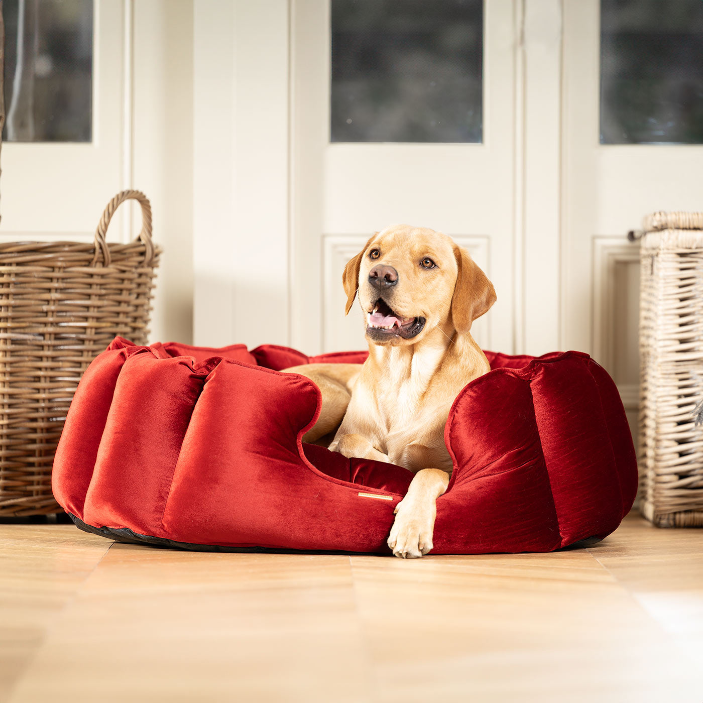 Valentines Edition High Wall Bed With Removable Covers by Lords & Labradors