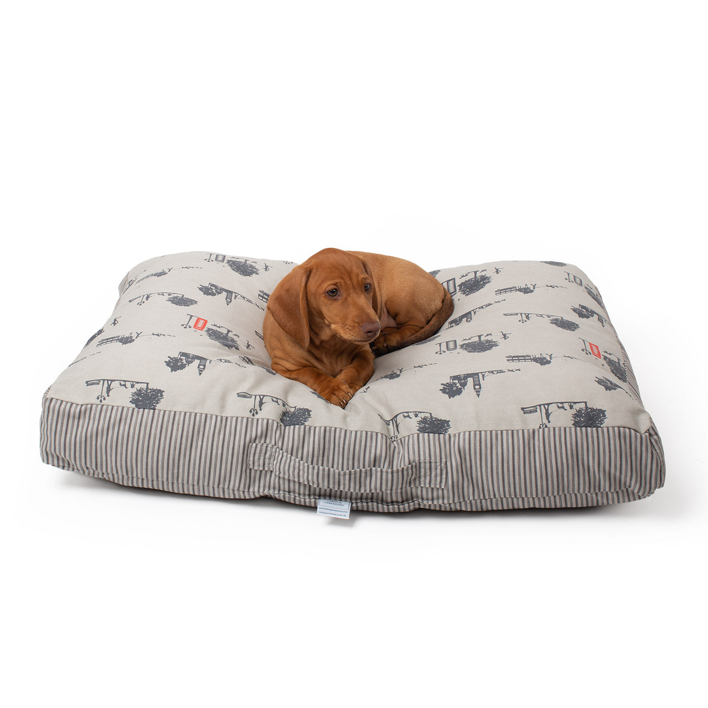 Sleepeze Dog Cushion in Hyde Park by Lords & Labradors