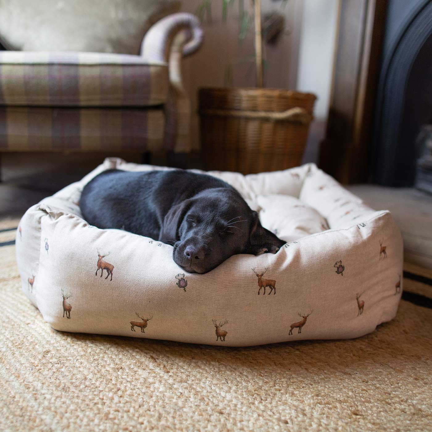 Woodland Stag Box Bed For Dogs | Lords & Labradors