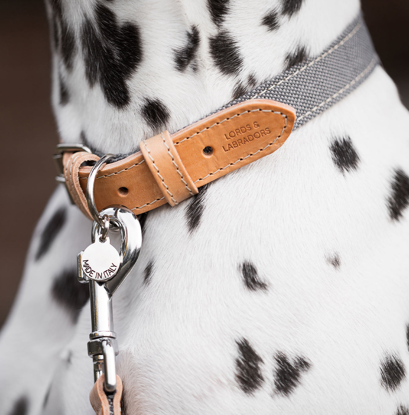 Essentials Twill Dog Lead in Slate by Lords & Labradors
